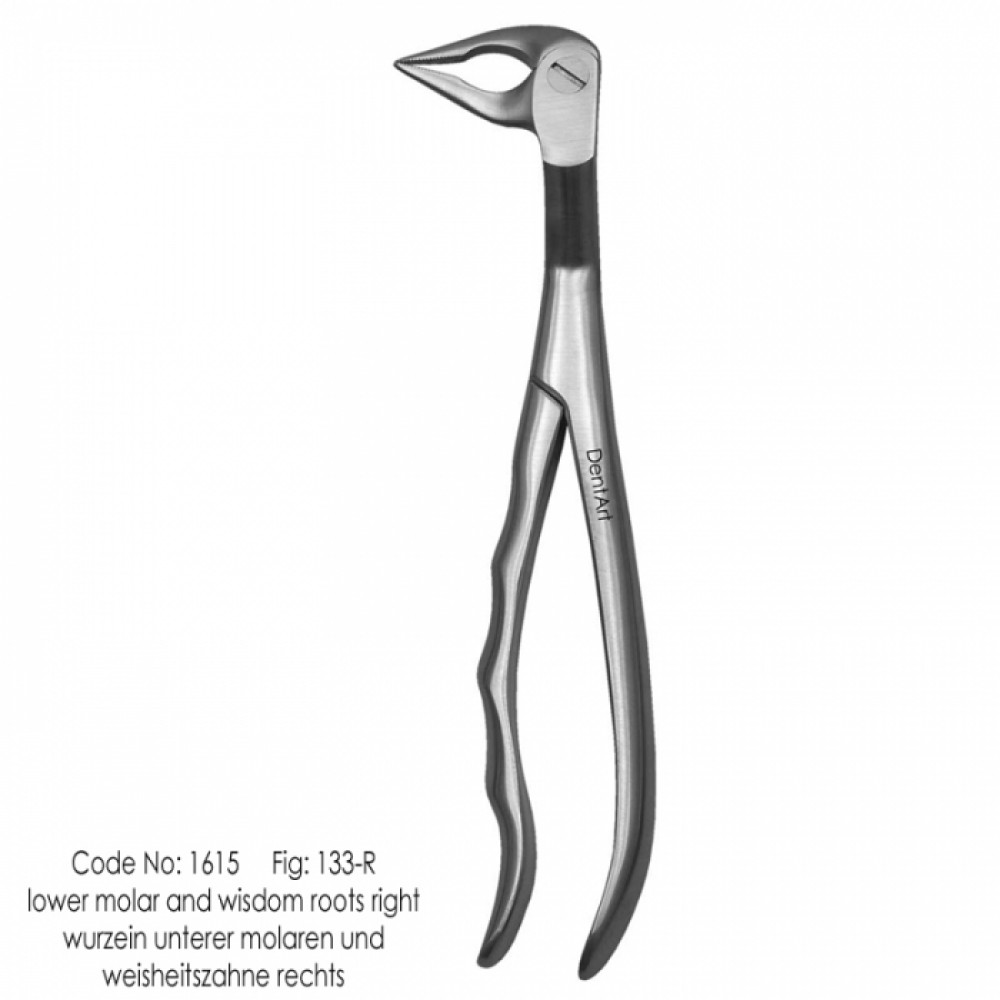 Extraction Forceps Fig No. 133 R
